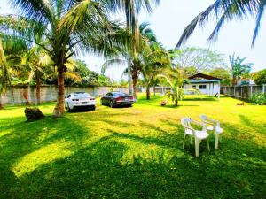 two white chairs in a yard with palm trees at Casa de Descanso - Camelia in Monte Gordo