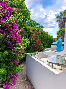 a garden with purple flowers and a table and umbrella at Bungalows Ingrid in Tolo