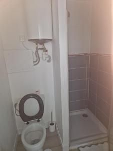 a small bathroom with a toilet and a shower at Studio la Romagne in La Romagne
