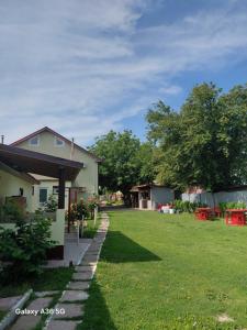 a yard with a house and a grassy field at Pensiunea Melissa in Măceşu de Jos