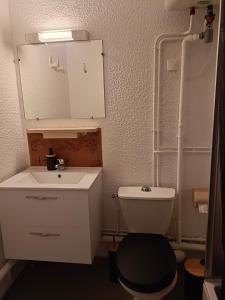 a bathroom with a toilet and a sink and a mirror at Studio PARAY CENTRE LOGIS 12 in Paray-le-Monial