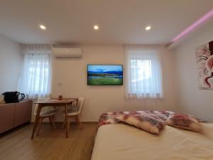 a bedroom with a bed and a table and a television at Getaway Pri Kobalu in Vipava