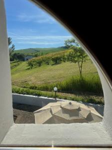 a view from a window of a patio with an umbrella at Dolce Collina, Sunset Terrace & Vineyard Views in Dozza