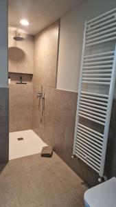 a bathroom with a shower and a toilet at Lake Como Terrace Suite in Mandello del Lario