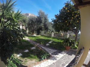 un jardín con un naranjo y un sendero en Appartamenti Con Vista Panoramica, en Santa Maria Navarrese