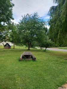 a stone bench in the middle of a grass field at carpedieme in Horní Brusnice