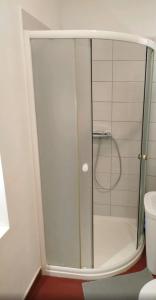 a shower with a glass door in a bathroom at Marko in Fažana +18 photos