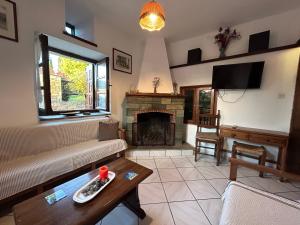 a living room with a couch and a fireplace at Little Graceland in Afissos