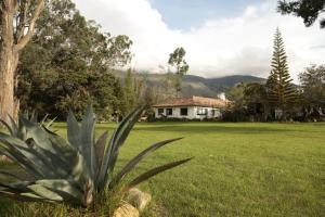a plant in a field with a house in the background at Finca Villa Sofía in Villa de Leyva