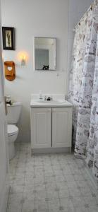 ein Badezimmer mit Waschbecken, Toilette und Duschvorhang in der Unterkunft Tripp Inn in St. John's