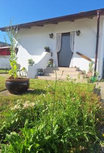 a view of the house from the garden at Ferienhaus-Weinmeyer in Paasdorf