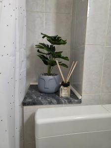 a plant sitting on a counter next to a bath tub at Breece Hideaway in Piran +12 photos