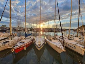a group of boats docked in a harbor at Breece Hideaway in Piran