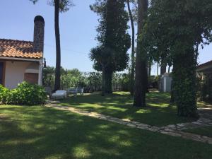 a yard with trees and a house with a bench at Rustic Villa with Private Pool near Ericeira in Mafra