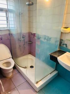 a bathroom with a shower with a toilet and a sink at Sea Shell Service Apartment in Bāiljuri +20 photos