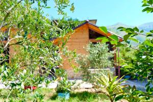 a small wooden cabin in the middle of trees at Bujtinat e Delvinës in Delvinë +15 photos