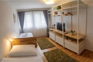 a small room with a bed and a television at Apartmány Lipno 46 in Lipno nad Vltavou