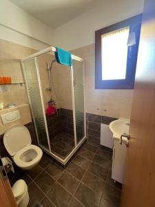 a bathroom with a shower and a toilet and a sink at Thalassa Home B in Chiliadou