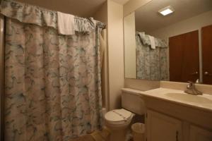 a bathroom with a toilet and a sink and a shower curtain at Sunnyside 6 in Condo Waterville Valley in Waterville Valley +5 photos