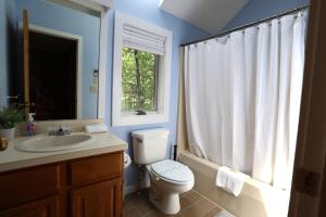 a bathroom with a toilet and a sink and a window at Forest Rim I1 WV Pet Friendly Ski Vacation Condo in Waterville Valley in Waterville Valley +10 photos