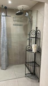 a bathroom with a shower with a glass door at Feinlötstube in Alzenau