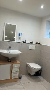 a bathroom with a toilet and a sink at Feinlötstube in Alzenau