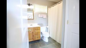 a bathroom with a toilet and a sink and a mirror at Weetamoo Trail 50 Estates Relax in the White Mountains in Campton +6 photos