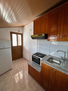 a kitchen with a sink and a stove and a refrigerator at Vila Vladmir Sela in Ksamil