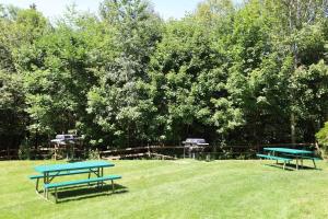two picnic tables in a field with trees in the background at Inns of Waterville Valley 105 One Bedroom Garden Level Unit at Inns of WV in Waterville Valley +2 photos