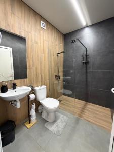 a bathroom with a toilet and a shower and a sink at Villa HOLM in Solotvyno