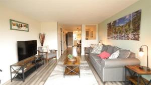 a living room with a couch and a tv at Valley View 4 Campton White Mountain Condo With Views in Campton