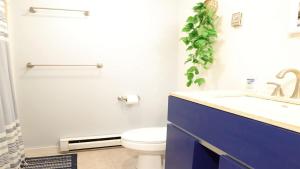 a bathroom with a white toilet and a sink at Valley View 4 Campton White Mountain Condo With Views in Campton +4 photos