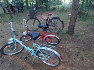 a group of three bikes parked next to a tree at Siedlisko Niwy in Łęki Szlacheckie