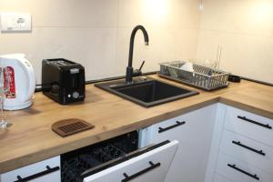 a kitchen counter with a sink and a toaster at Apartmani Fontana Banja Koviljaca in Banja Koviljača