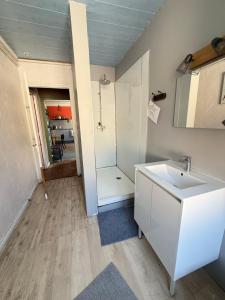 a bathroom with a sink and a shower at Le Kompost'l dortoir en gîte 4 place in Saint-Privat-dʼAllier