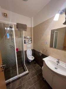 a bathroom with a shower and a toilet and a sink at Thalassa Home A in Chiliadou