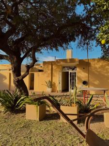a house in the desert with a tree at Hotel Soles de Lidia in Monte Cristo