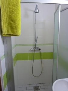 ズノイモにあるUbytování Vinohrady 73の緑と白のストライプを用いたバスルーム(シャワー付) +9枚の写真
