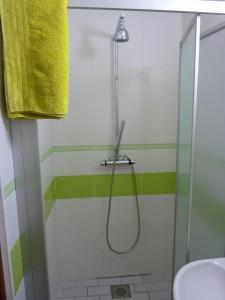 a shower in a bathroom with green and white stripes at Ubytování Vinohrady 73 in Znojmo