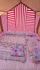 a bed in a tent with two pillows on it at Çıralı Camping in Cıralı