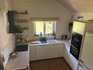 eine kleine Küche mit Spüle und Kühlschrank in der Unterkunft Chalet Chalazy in Lille