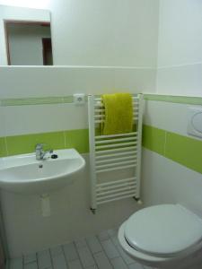 uma casa de banho com um lavatório, um WC e um espelho. em Ubytování Vinohrady 73 em Znojmo
