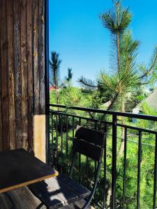 a chair sitting on a balcony with a palm tree at Guest House Dacha in Karolino-Buhaz