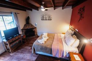 a bedroom with a bed with a fireplace and a television at Pousada Highland in Santo Antônio do Pinhal