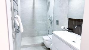 a bathroom with a shower and a toilet and a sink at Нова Дача in Kozintsy +26 photos