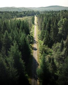 eine leere Straße mitten in einem Wald in der Unterkunft L'Ours Bleu in Lac-Saguay