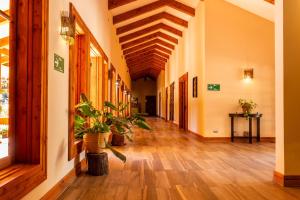 a hallway with potted plants in a building at Hotel Boutique Refugio El Molle in El Molle