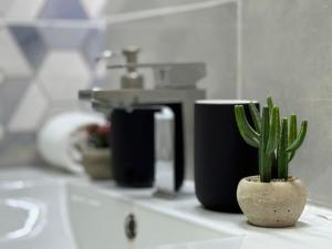 a plant in a pot on a counter with two cups at Ottov Raj Na Dunavu in Krčedin +19 photos
