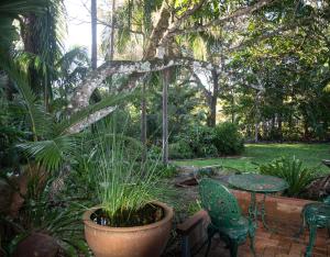 a garden with a table and chairs and a table and a plant at Fairview Retreat in Clunes