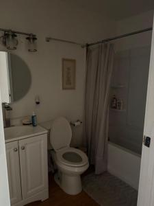 a bathroom with a toilet and a sink and a shower at Homestead Bungalow in Dayton +5 photos